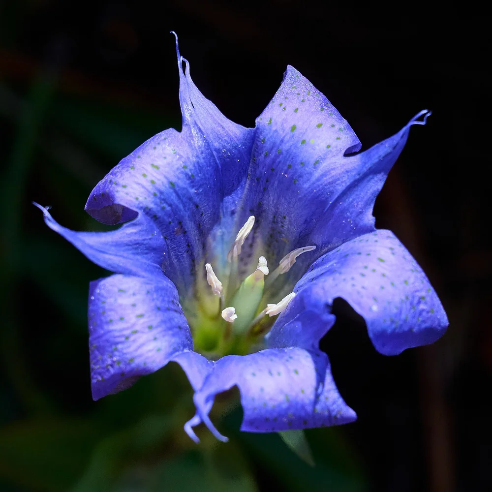 2025-8-eddy GDW_0844.jpg