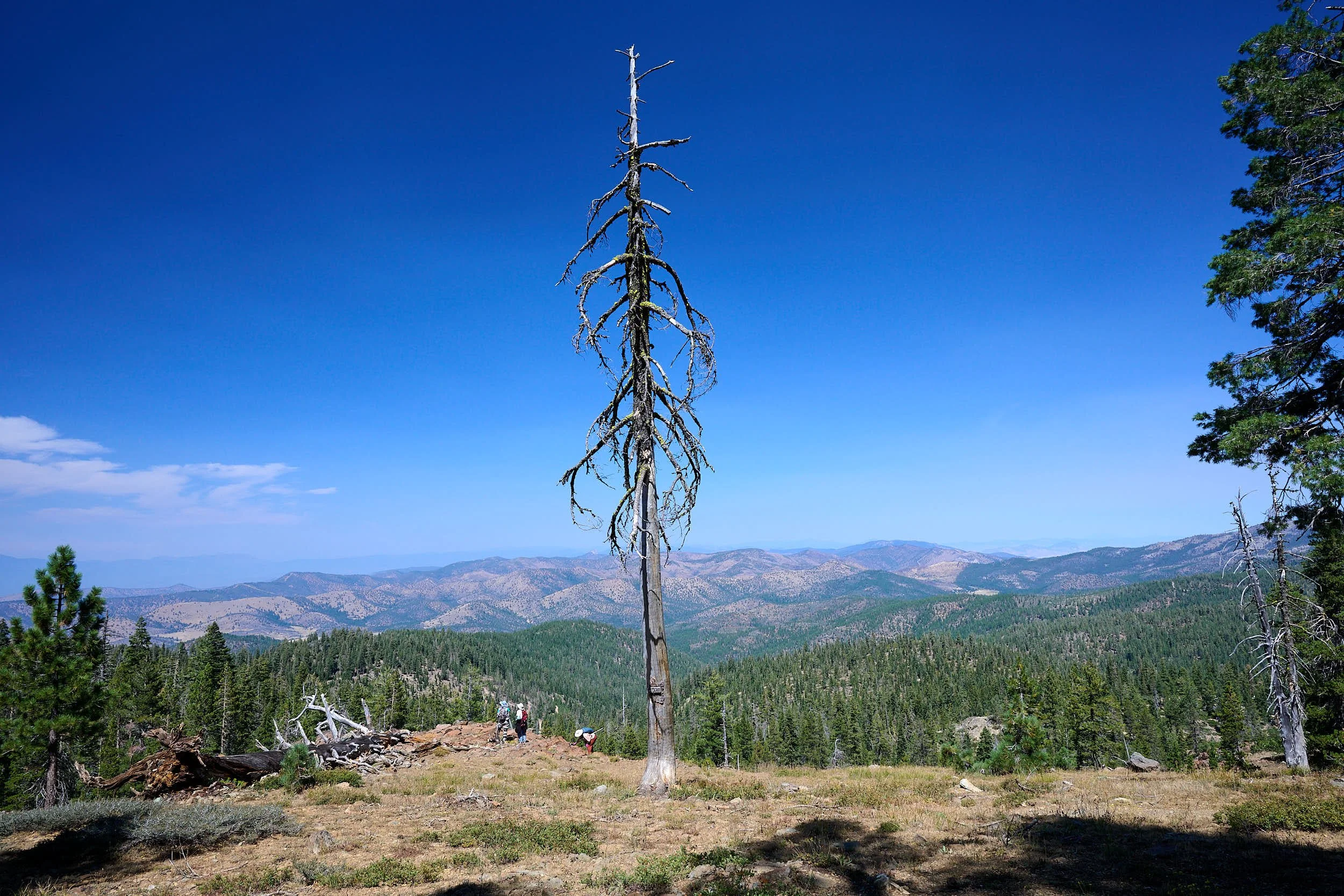 2025-8-eddy GDW_0930.jpg