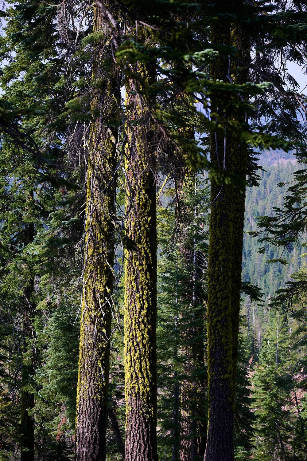 2025-8-eddy GDW_0979.jpg