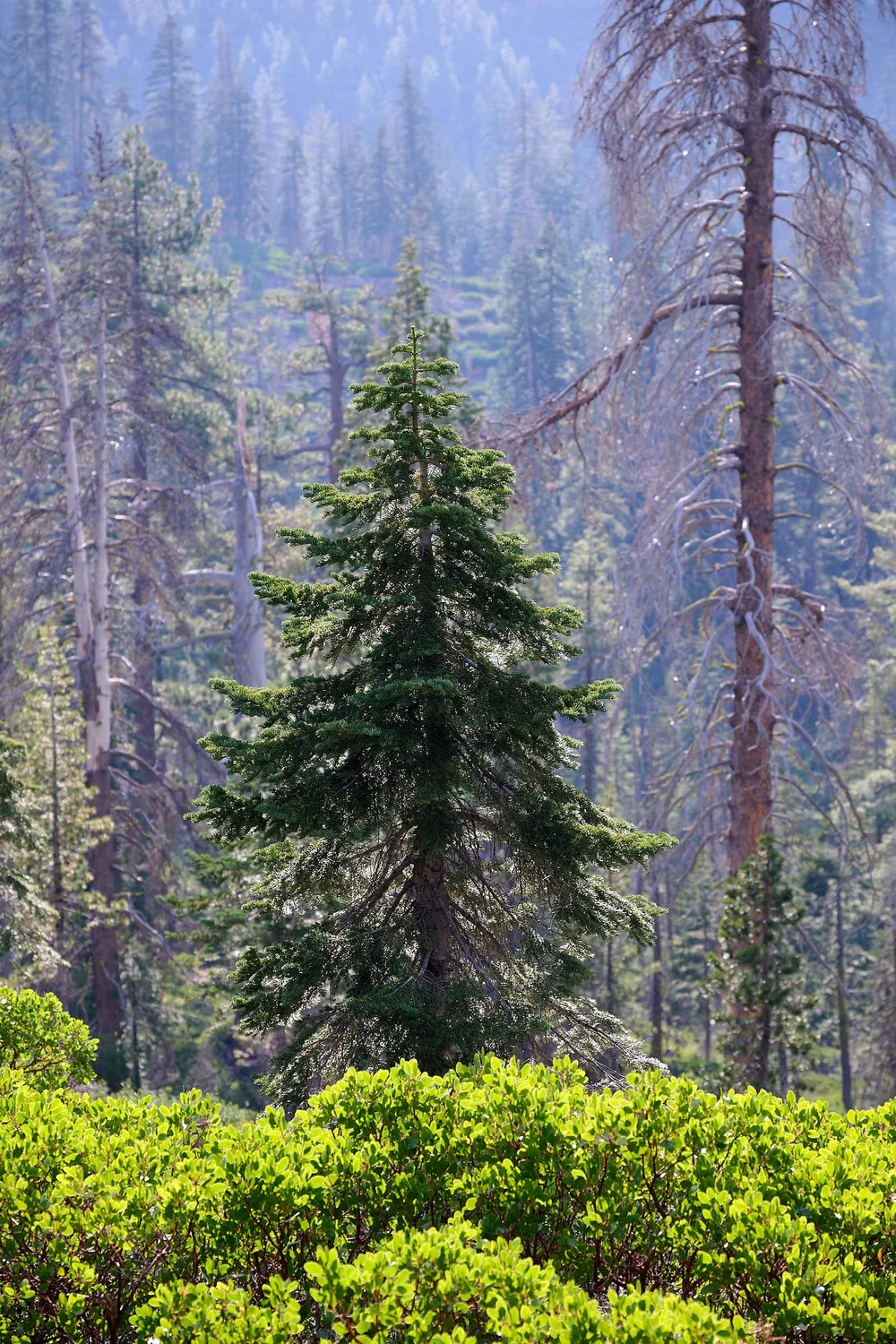 2025-8-eddy GDW_0984.jpg