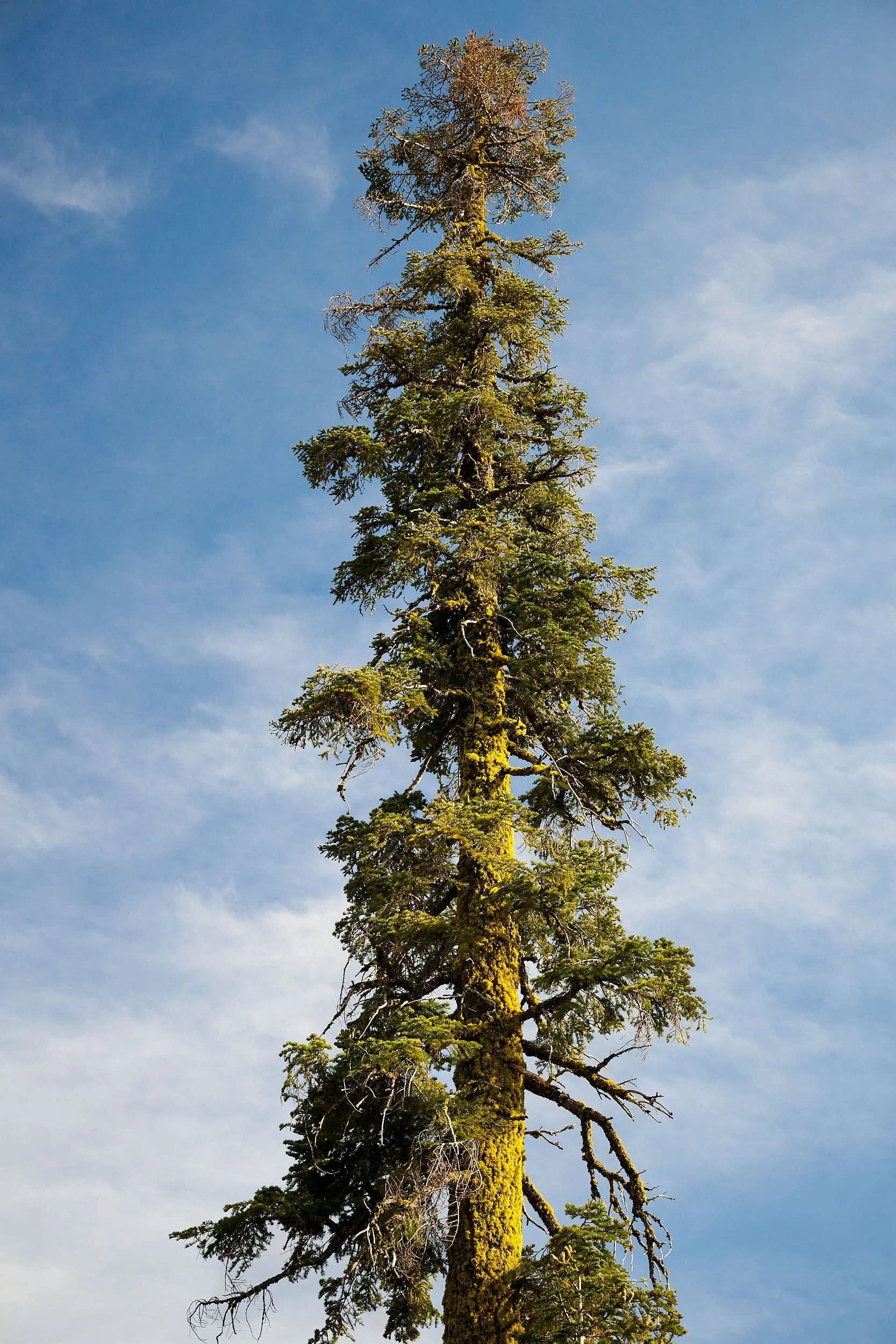 2025-8-eddy GDW_0987.jpg