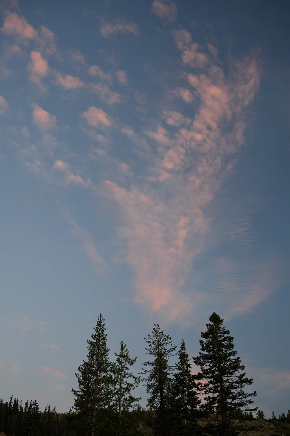 2025-8-eddy GDW_1022.jpg