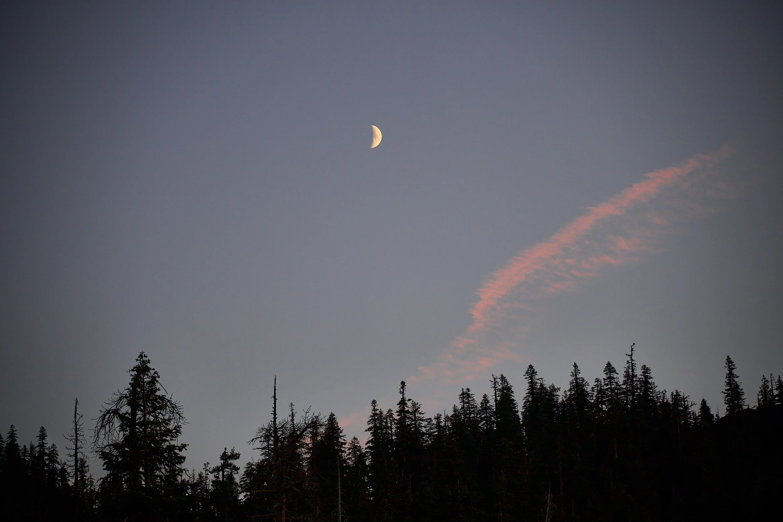 At peace with the world