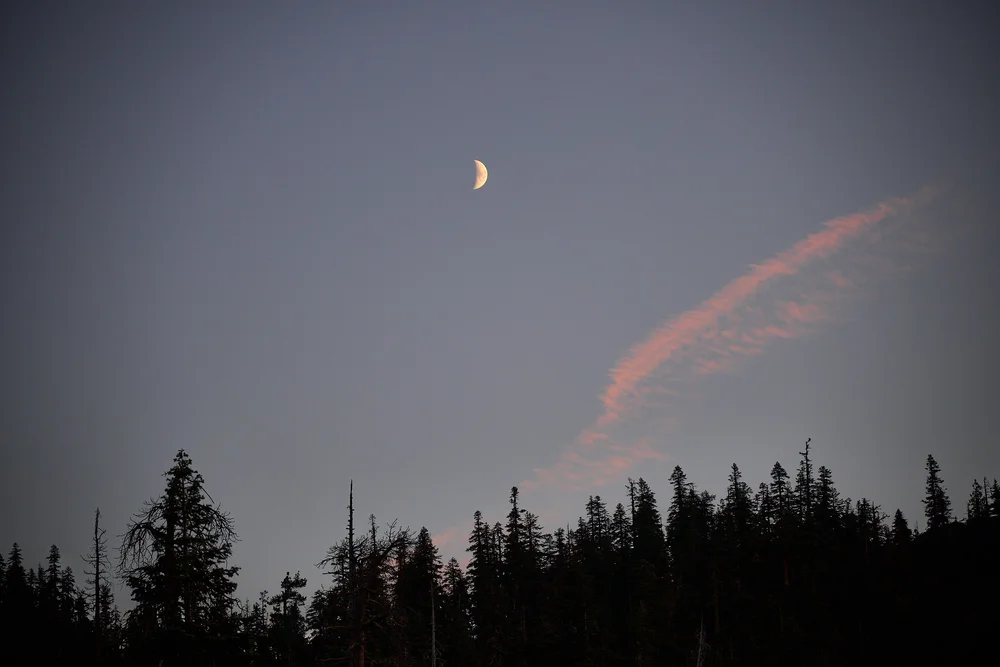 At peace with the world