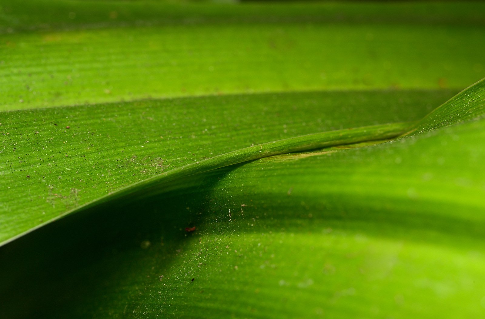 2025-9-home GDW_1068.jpg