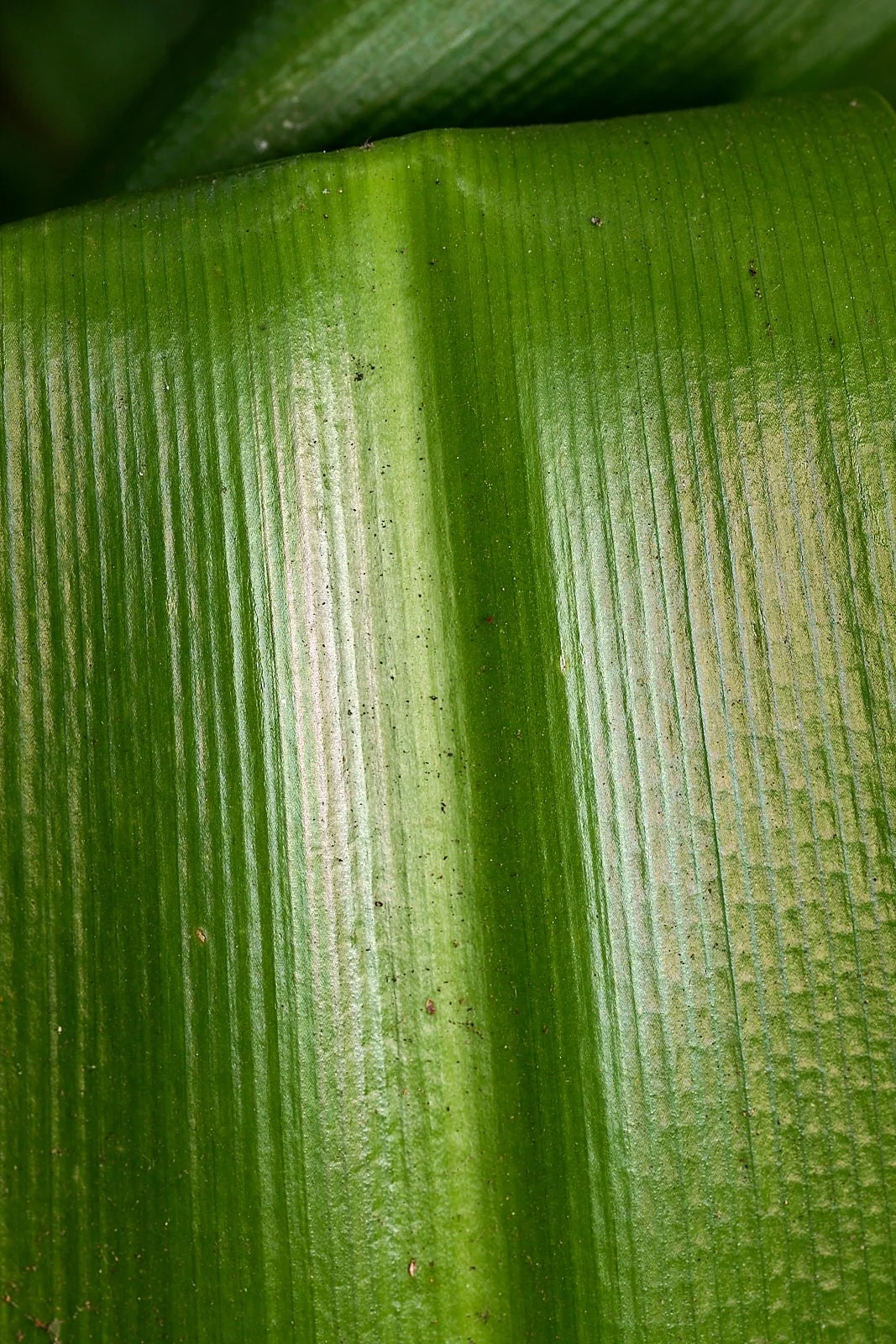 2025-9-home GDW_1072.jpg