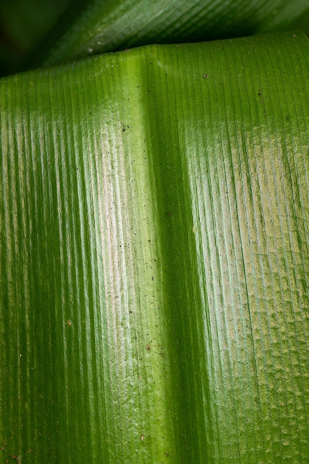 2025-9-home GDW_1072.jpg