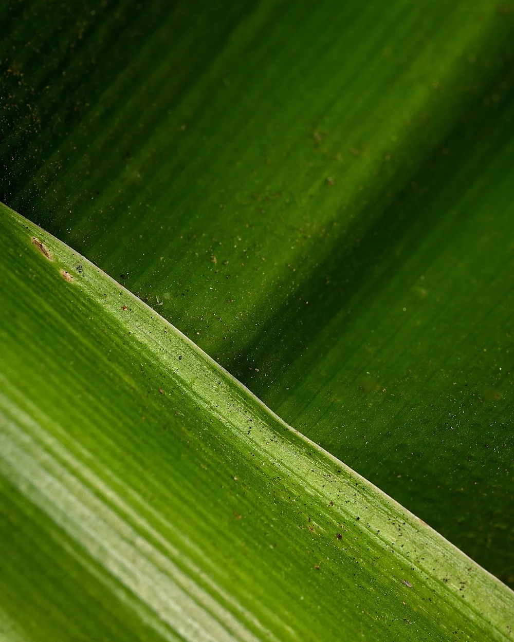 2025-9-home GDW_1074.jpg