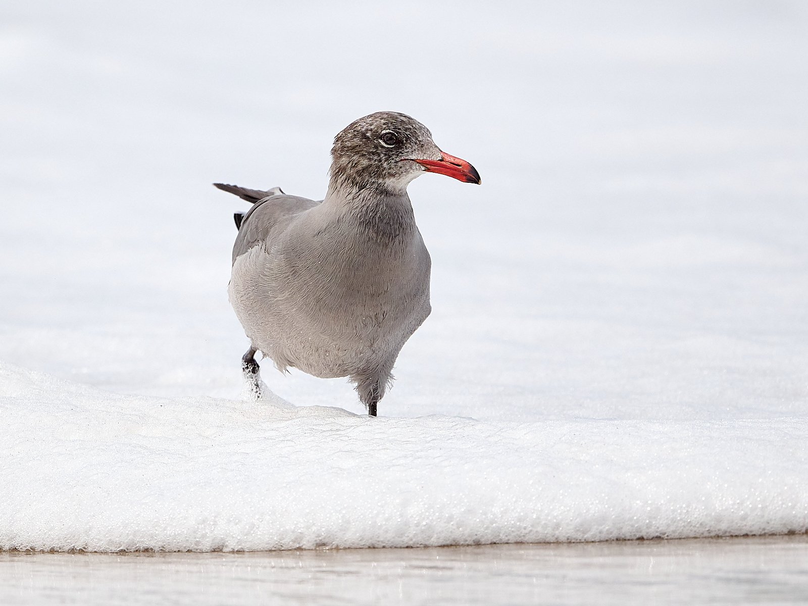 2025-9-ano GDW_2285.jpg