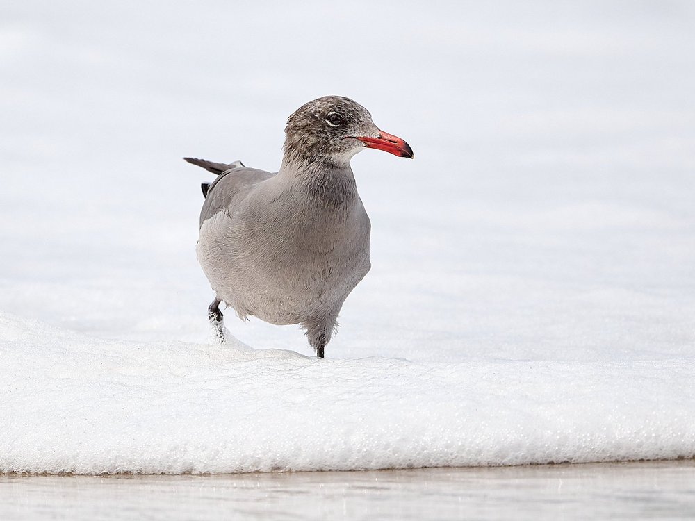 2025-9-ano GDW_2285.jpg