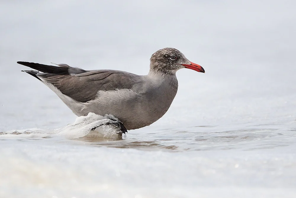 2025-9-ano GDW_2346.jpg