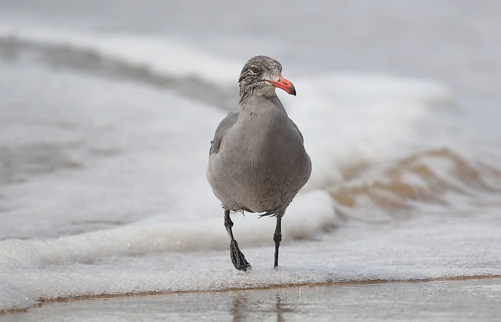 2025-9-ano GDW_3223.jpg