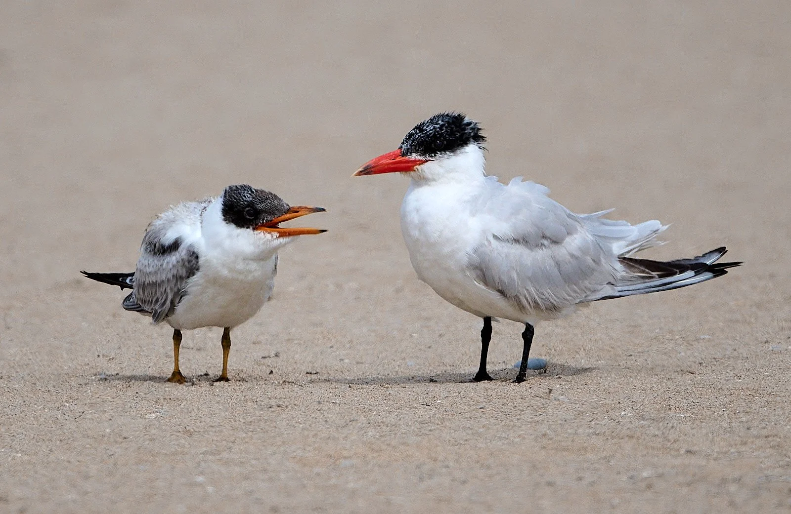 2025-9-ano GDW_4007.jpg