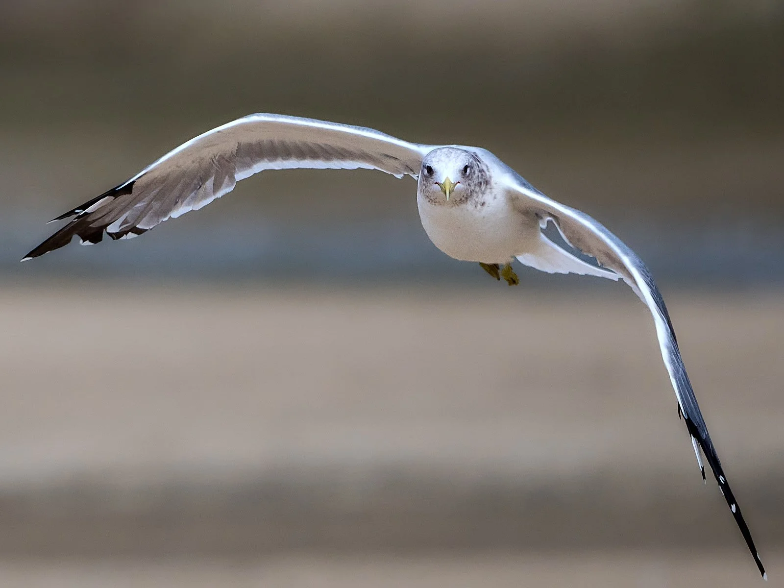 2025-9-ano GDW_4090.jpg