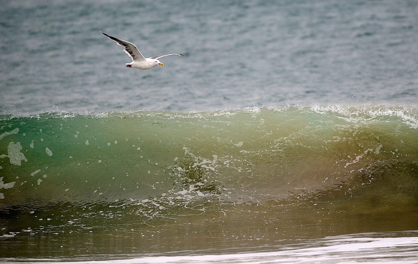 2025-9-ano GDW_4608.jpg