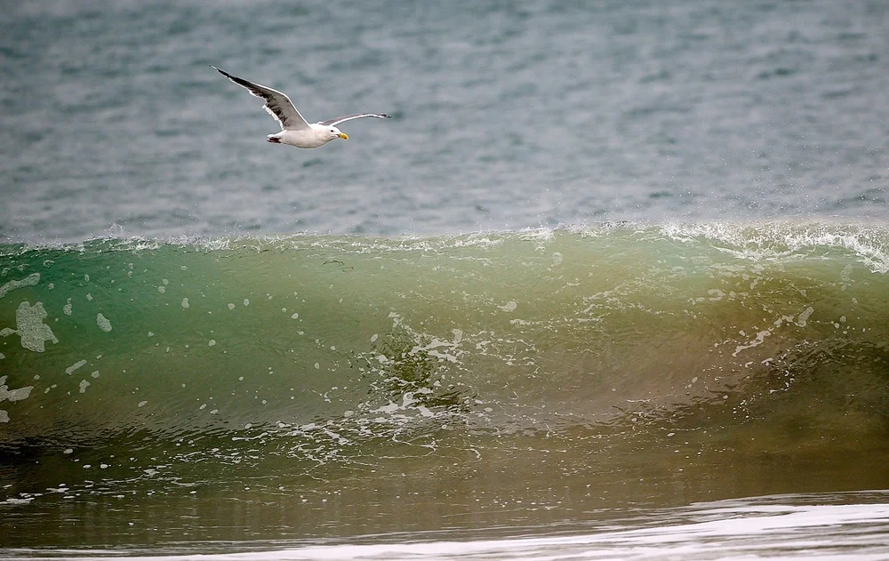 2025-9-ano GDW_4608.jpg