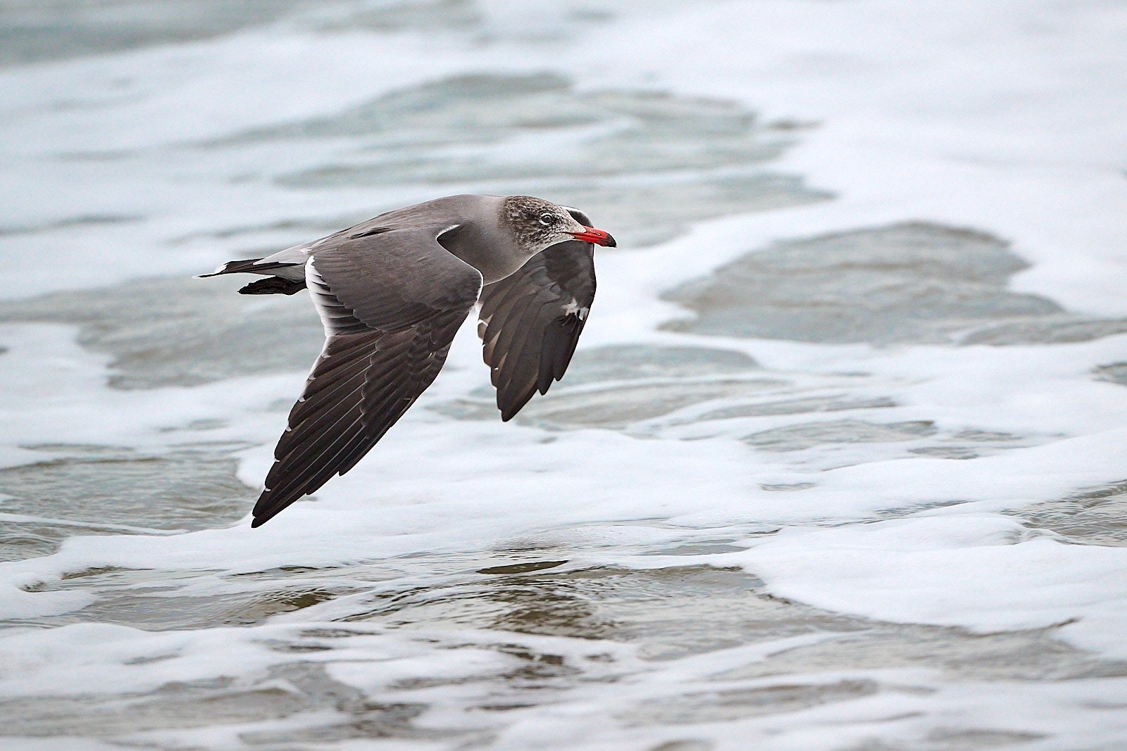 2025-9-ano GDW_4895.jpg