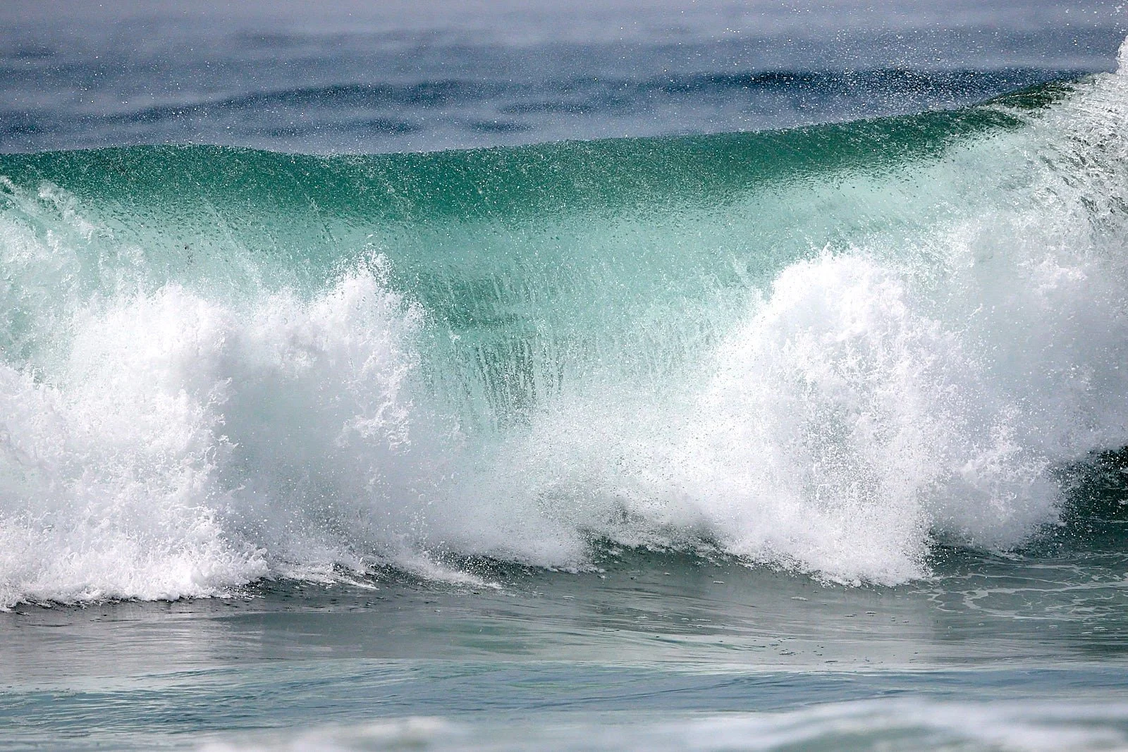 2025-9-ano GDW_1912.jpg