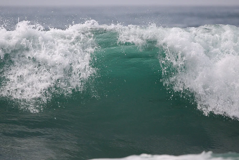 2025-9-ano GDW_3759.jpg