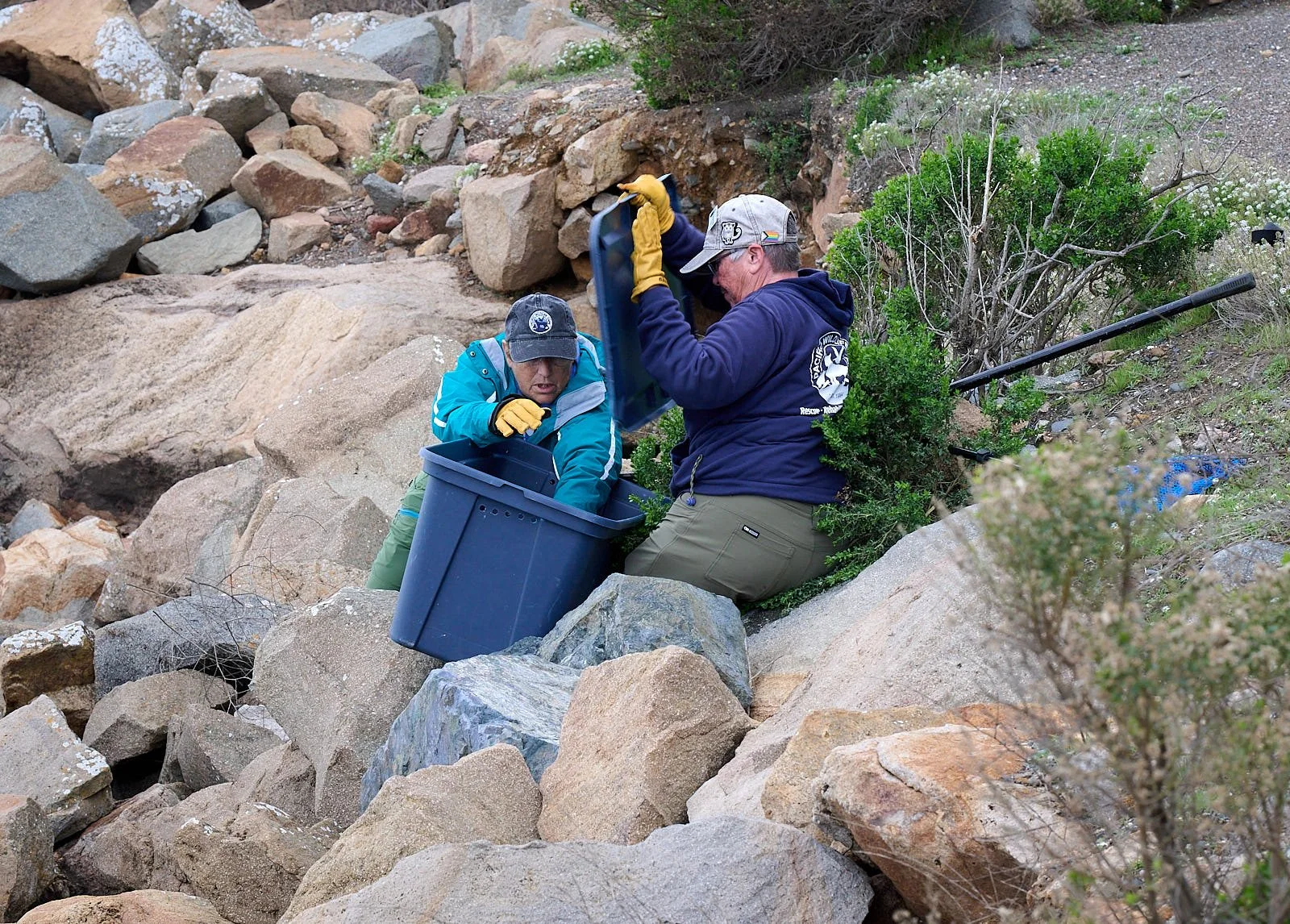 2026-1 MB GDW_1519.jpg