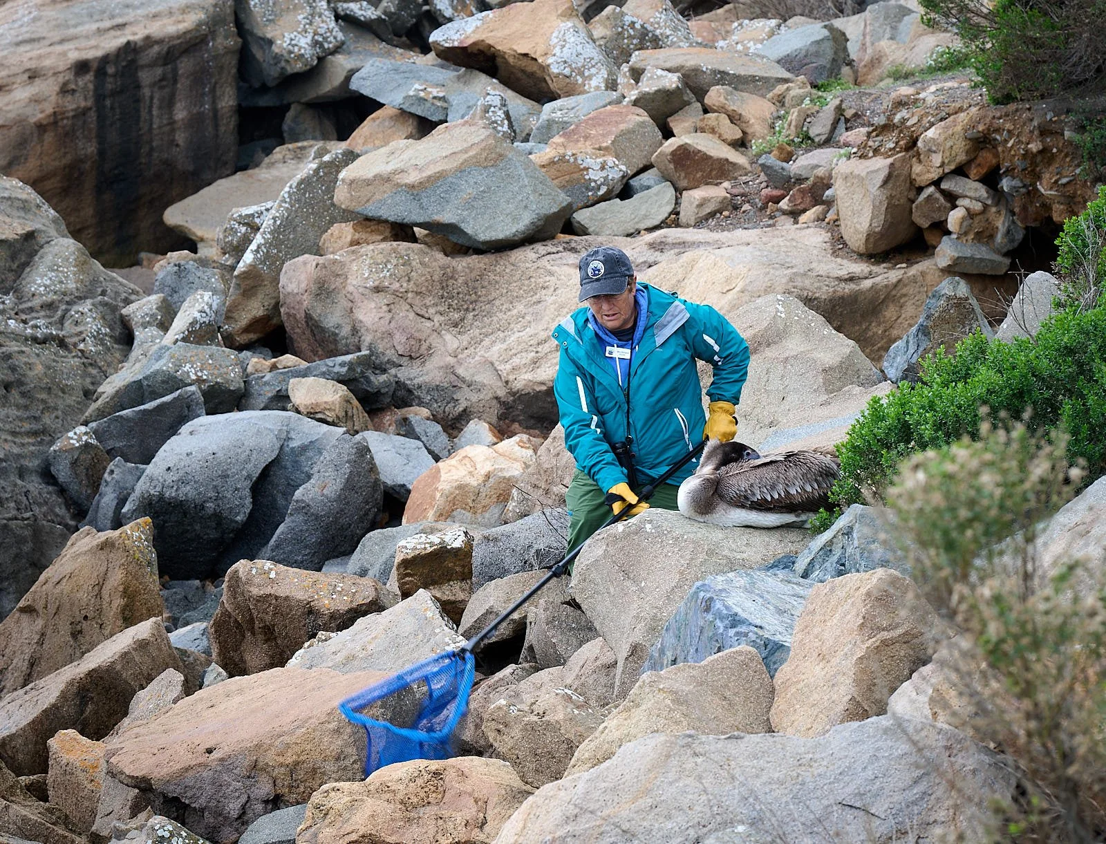 2026-1 MB GDW_1491.jpg