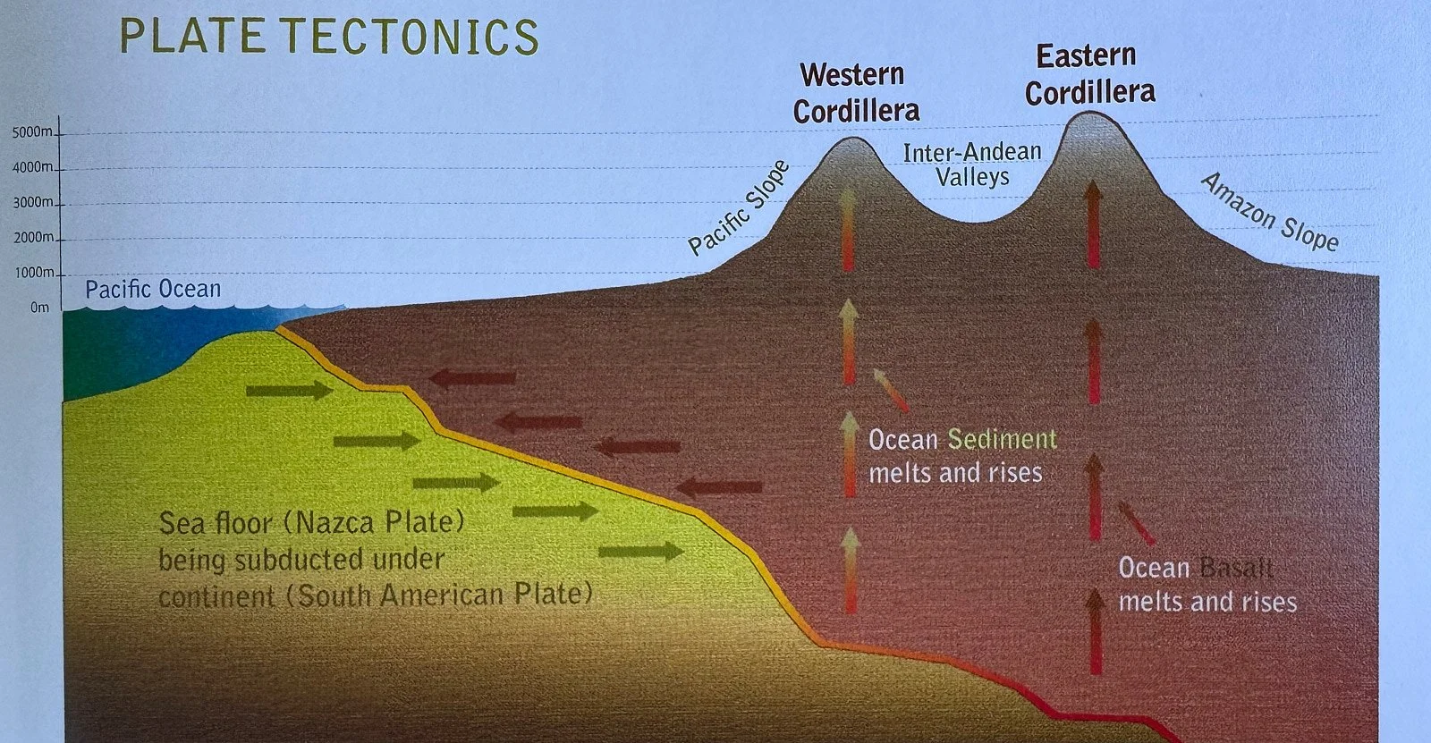 Illustration of Nasca Plate subduction under the South American Plate