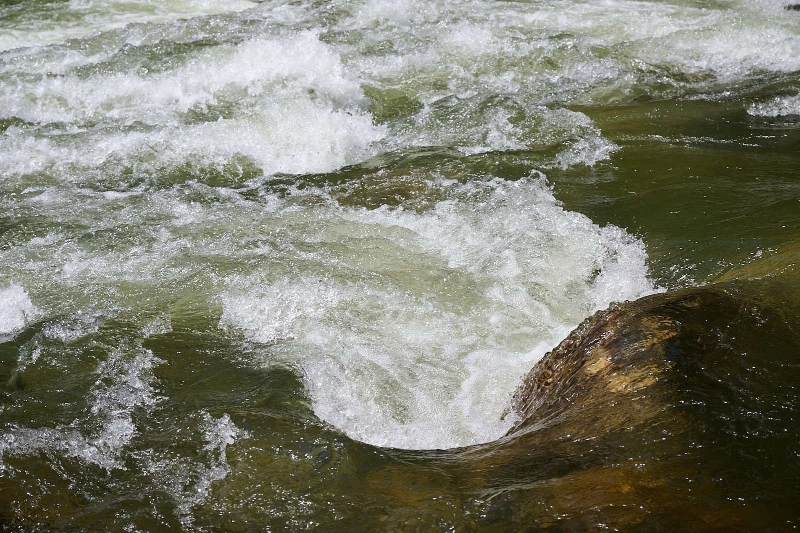 part2 river GDW_1893.jpg