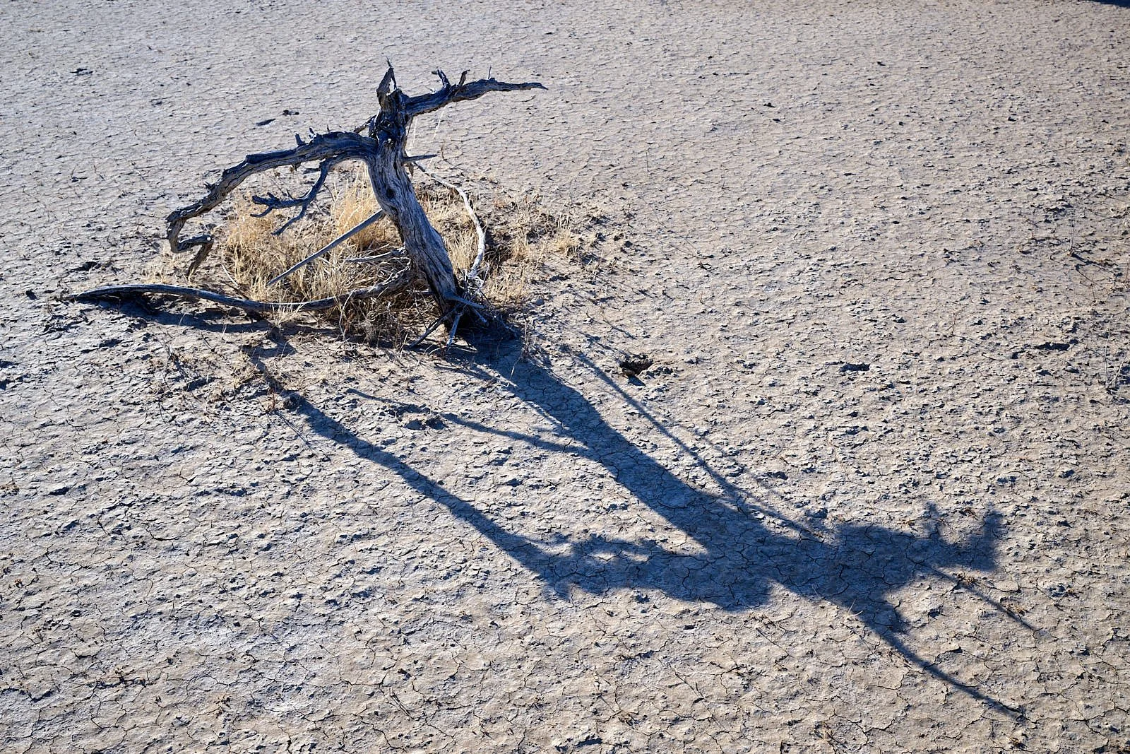 Big Bend National Park