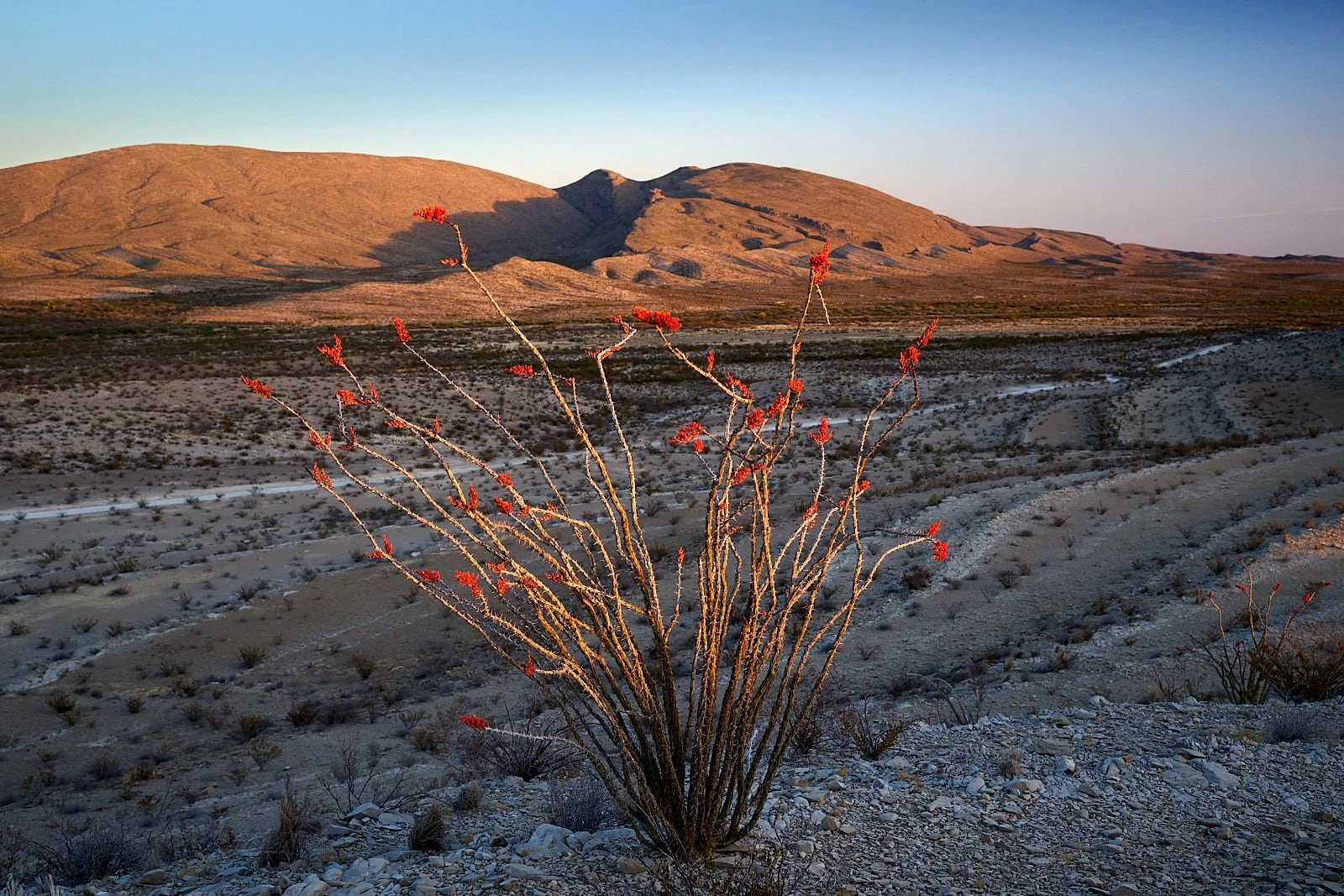 Big Bend National Park