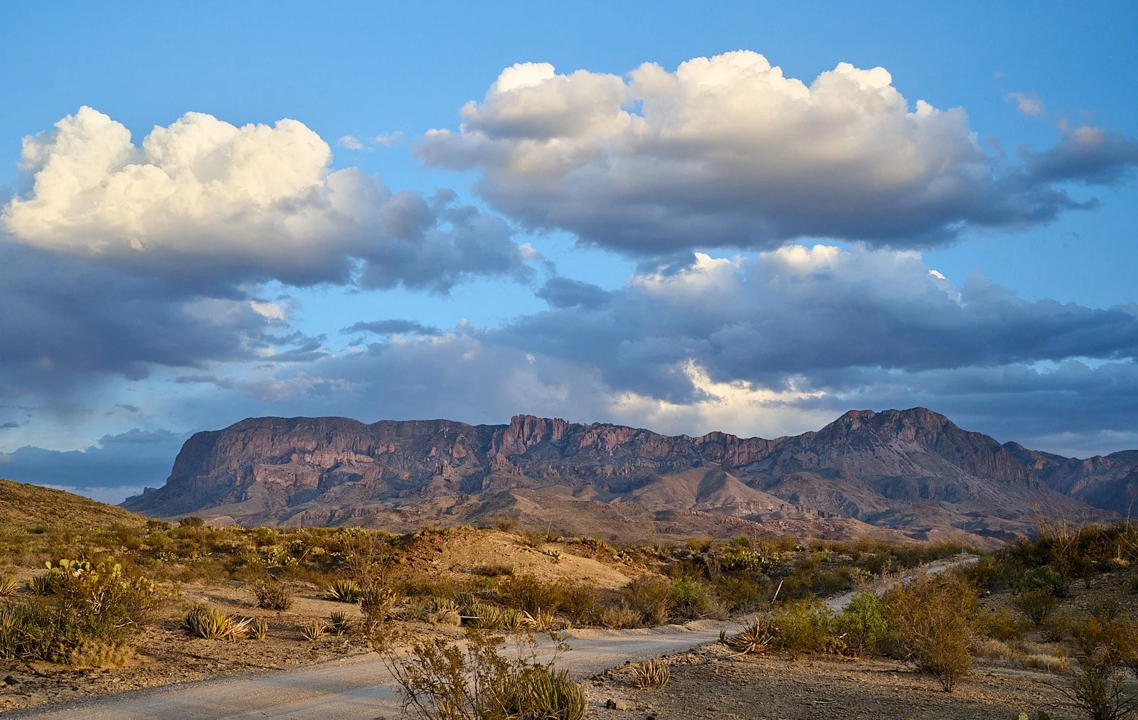 Big Bend National Park