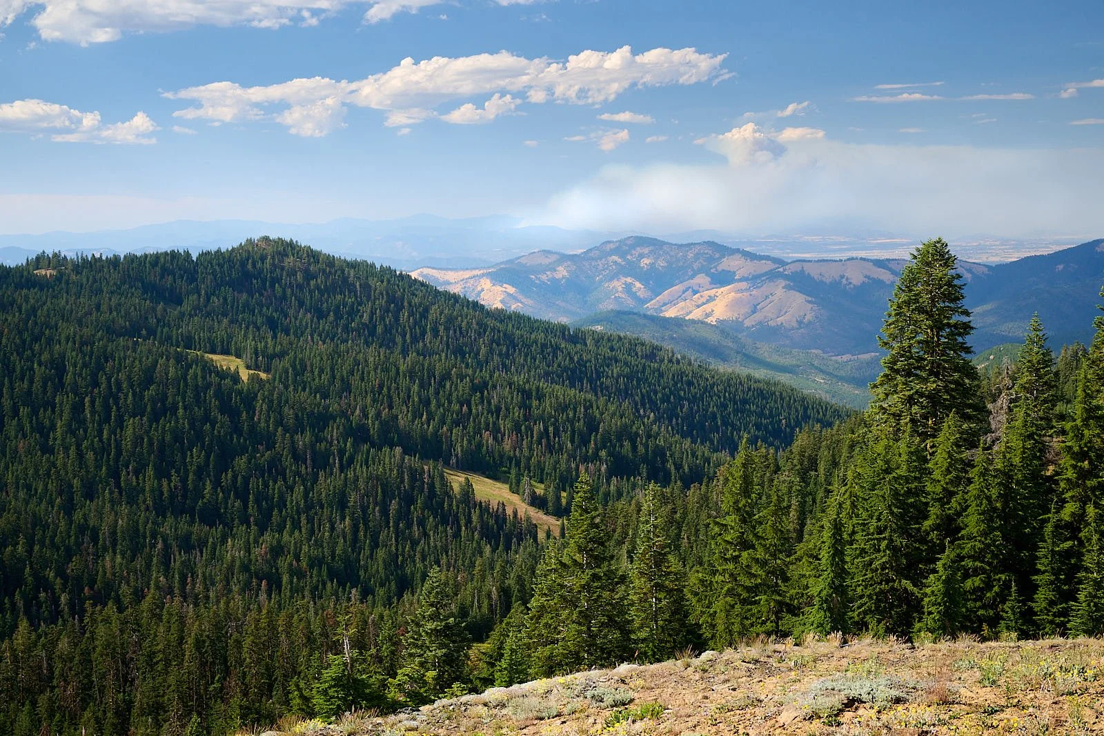 Evans fire increasing with valley winds.