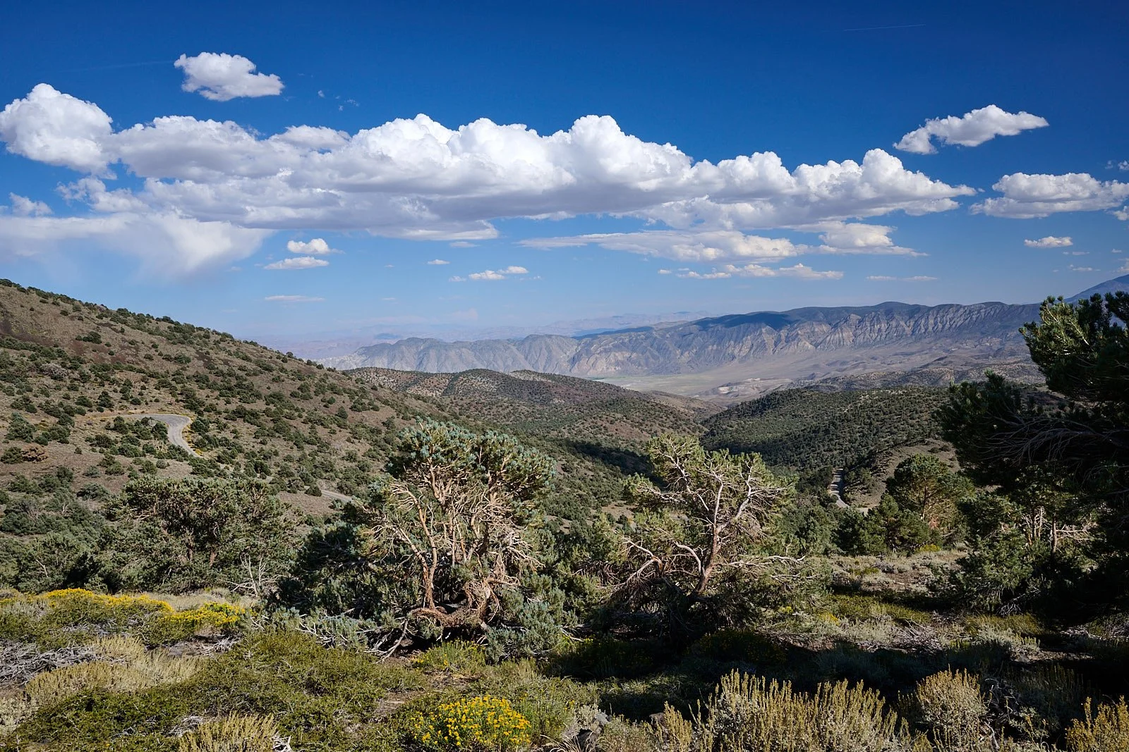 Nevada3  GDW_0467.jpg