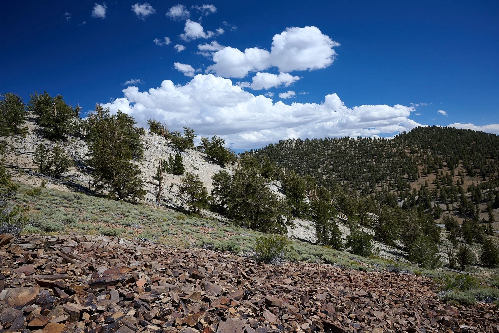 Nevada3  GDW_0433.jpg
