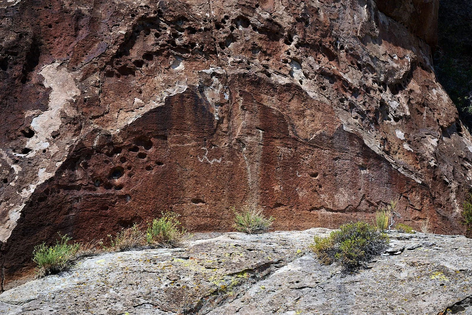 Nevada11  GDW_0824.jpg