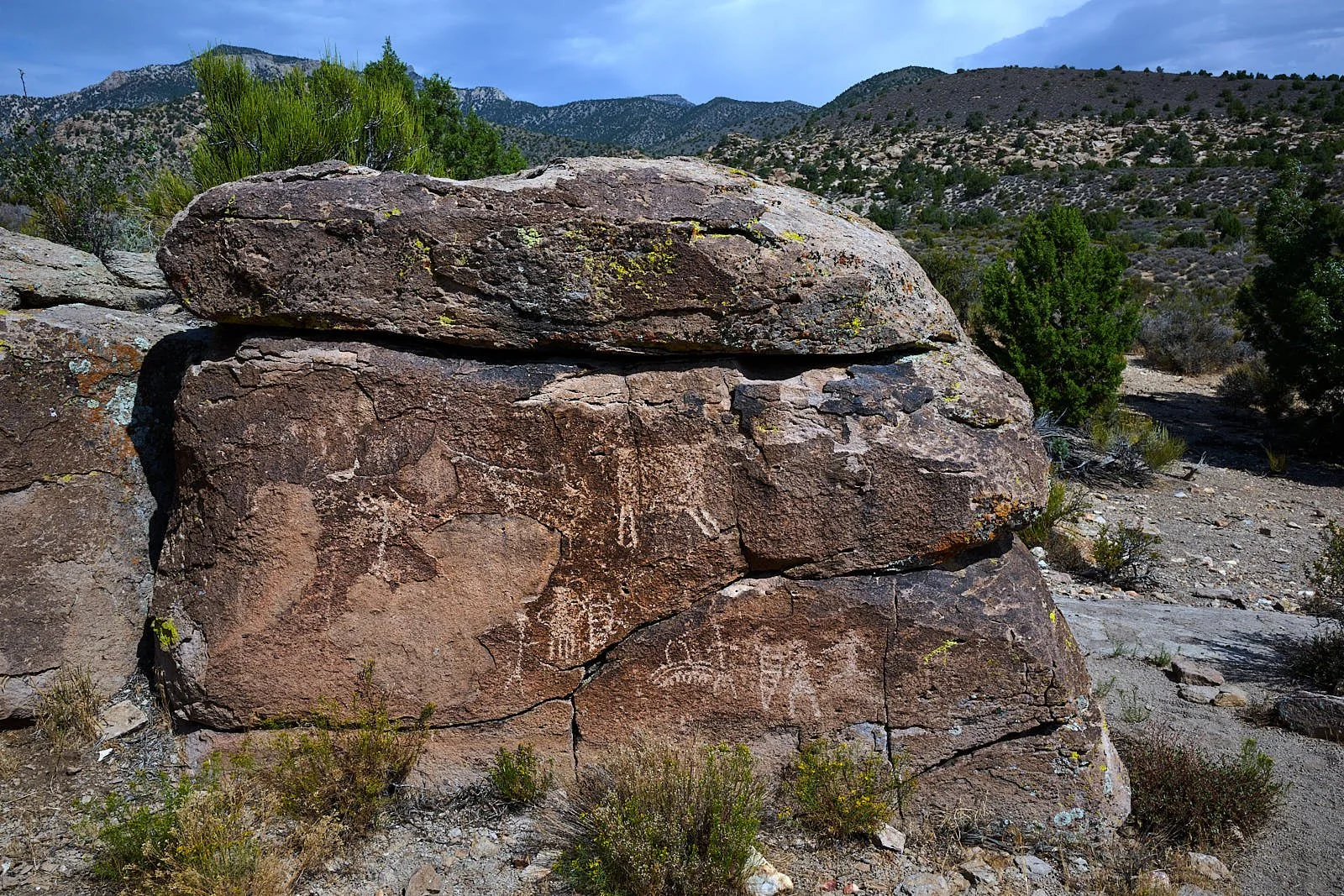 Nevada5  GDW_0766.jpg
