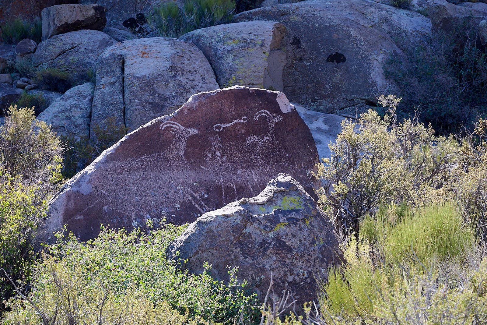 Nevada11  GDW_0792.jpg