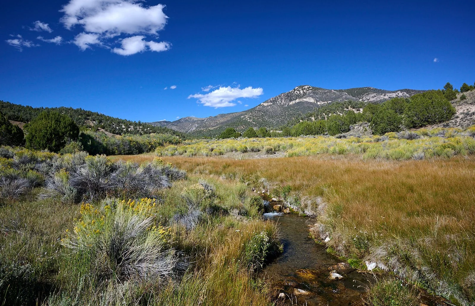 Nevada38  GDW_1128.jpg