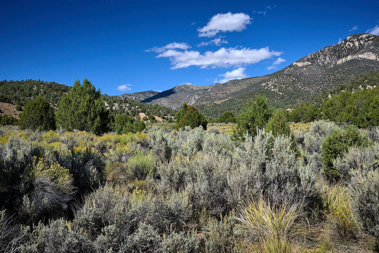 Nevada38  GDW_1111.jpg