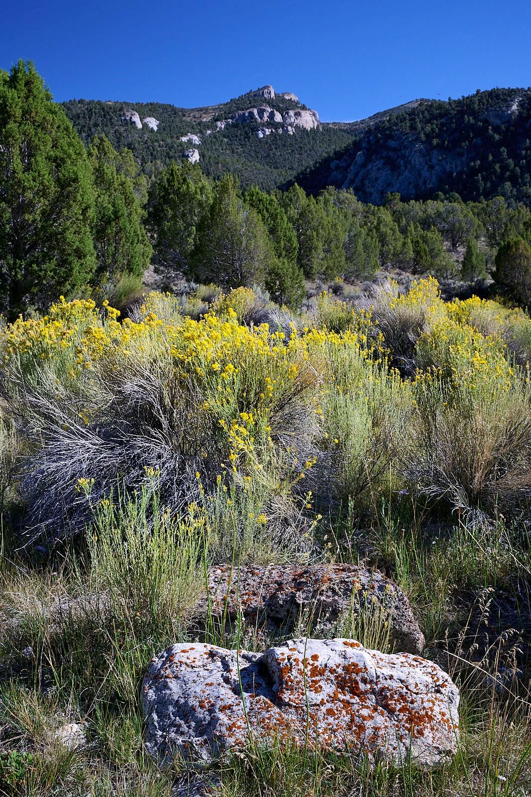 Nevada38  GDW_1139.jpg