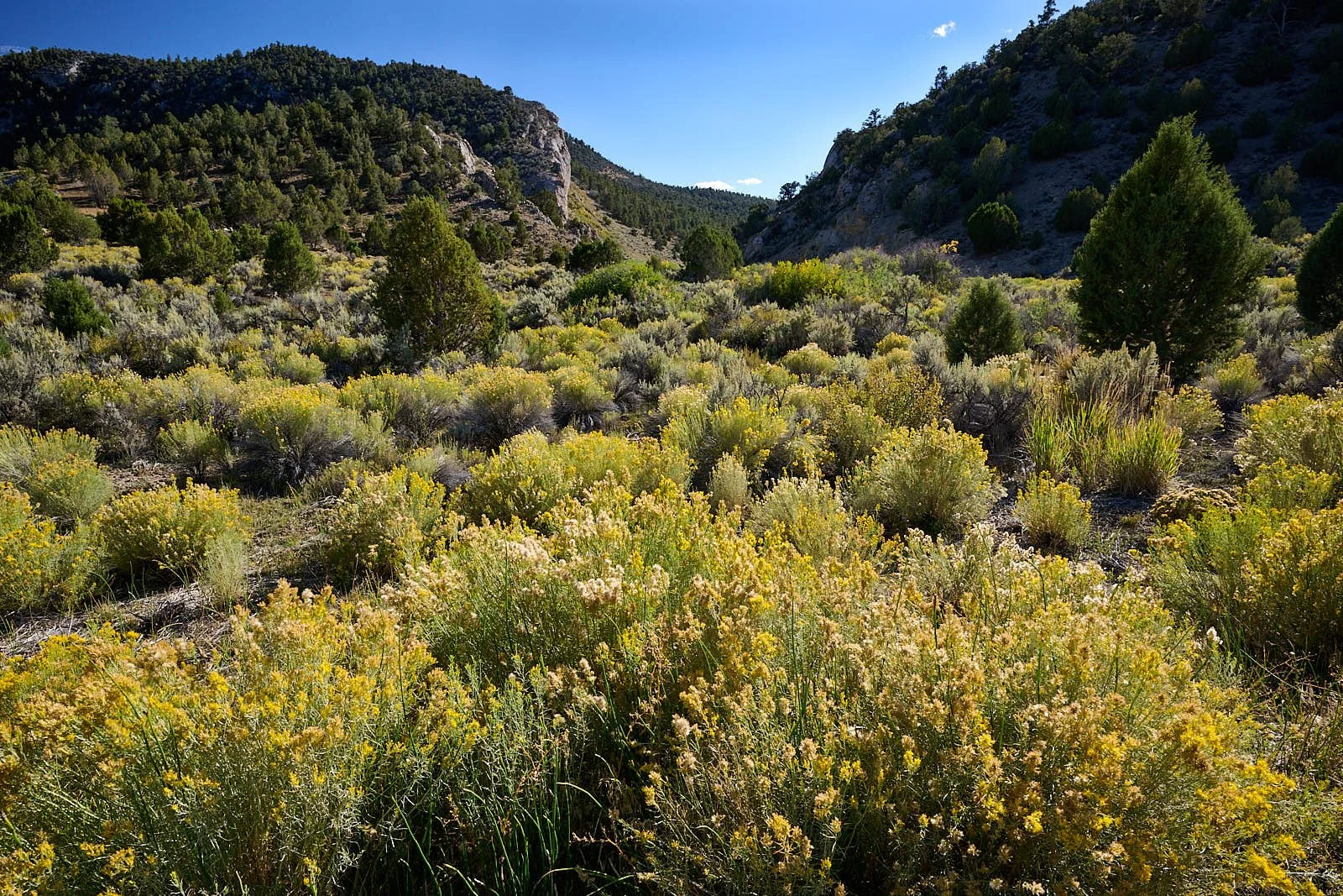 Nevada38  GDW_1154.jpg