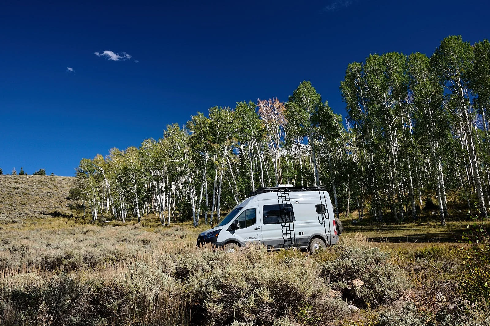 Remote camp by an aspen grove along Success Loop