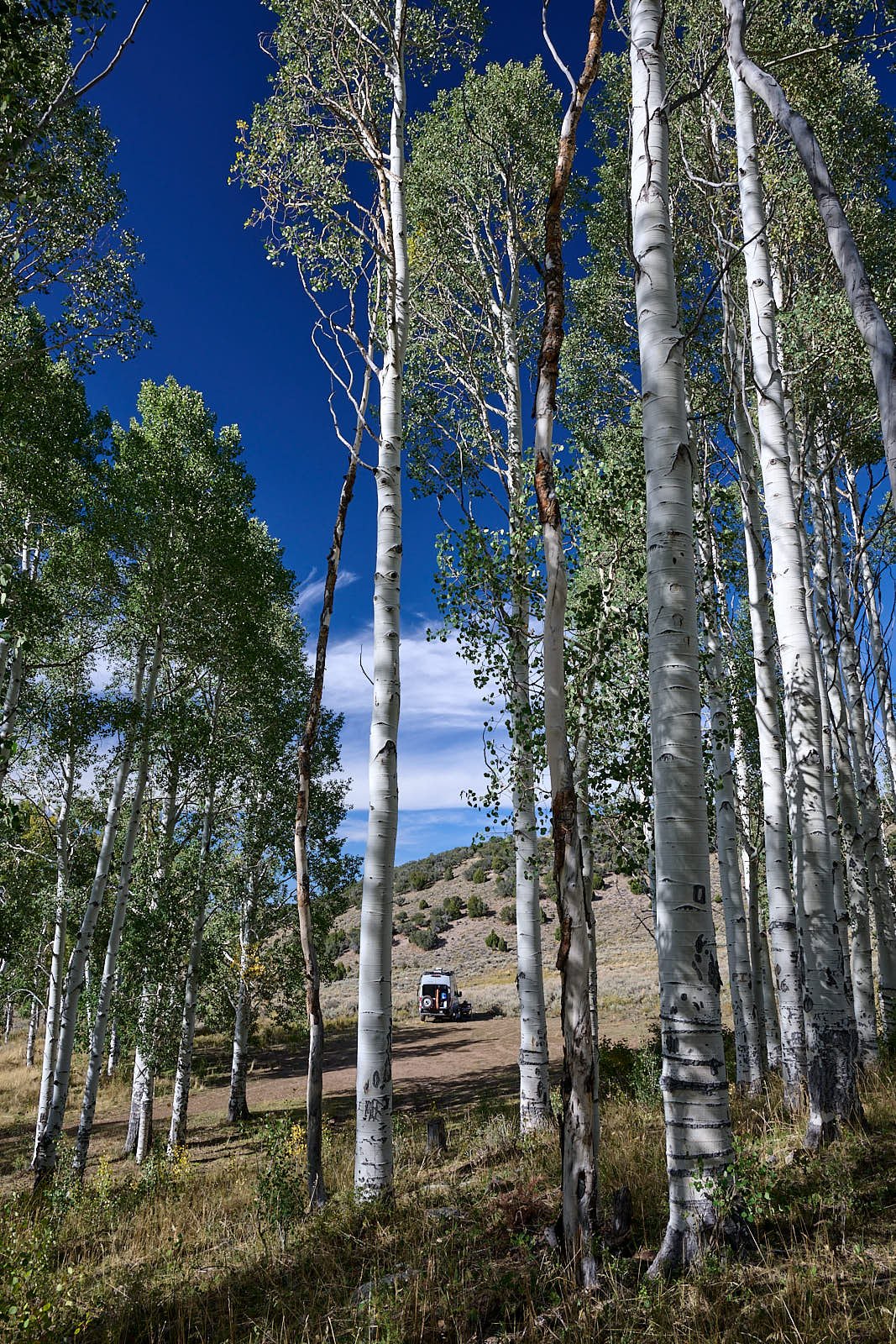 Nevada38  GDW_1177.jpg
