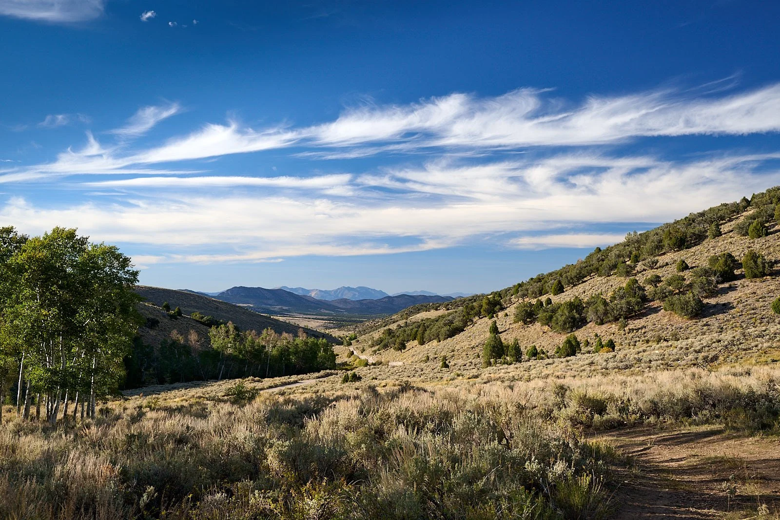 Nevada39  GDW_1202.jpg