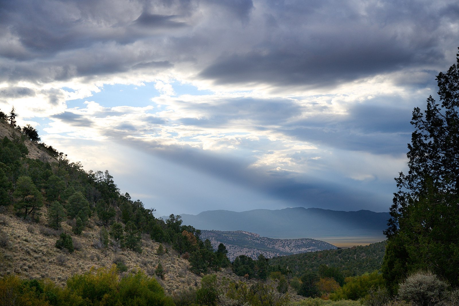 Nevada39  GDW_1277.jpg