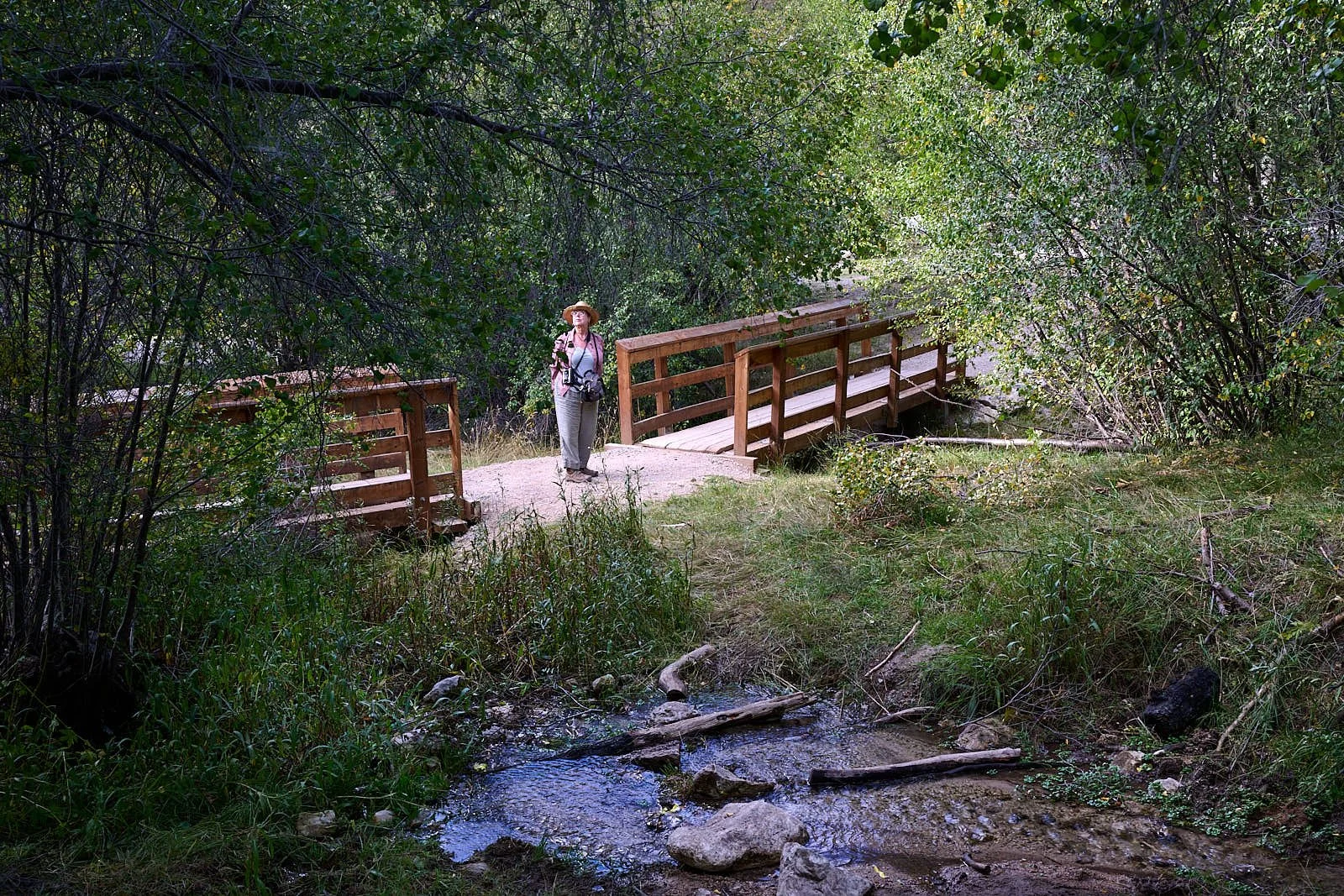 Nevada39  GDW_1262.jpg
