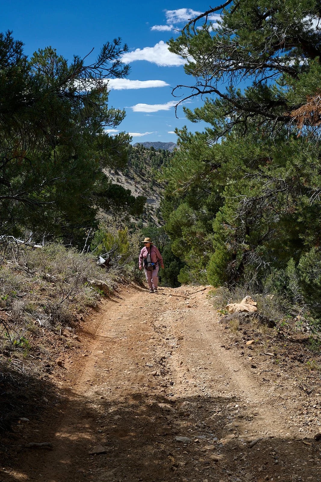 Nevada39  GDW_1287.jpg