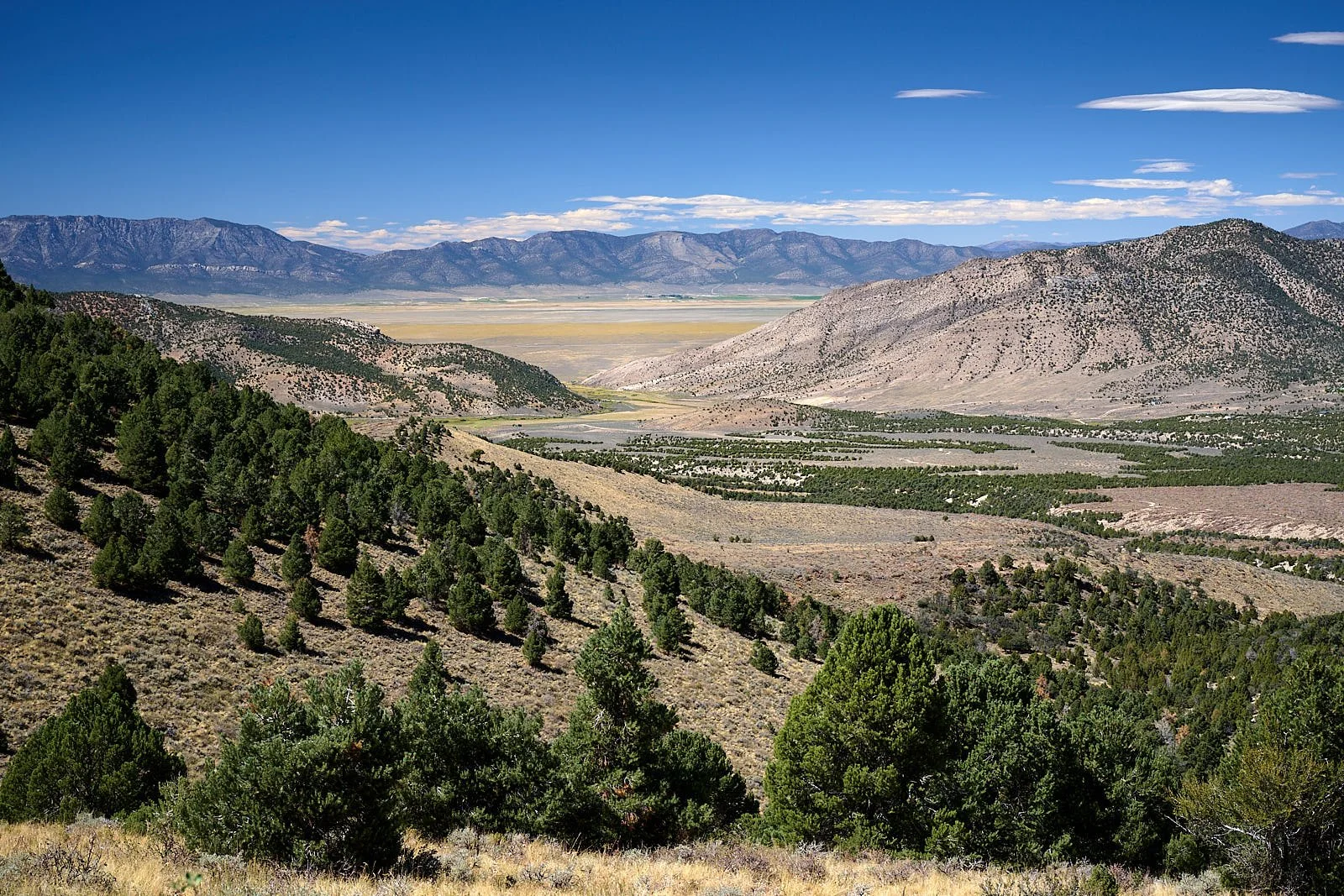 Nevada39  GDW_1302.jpg