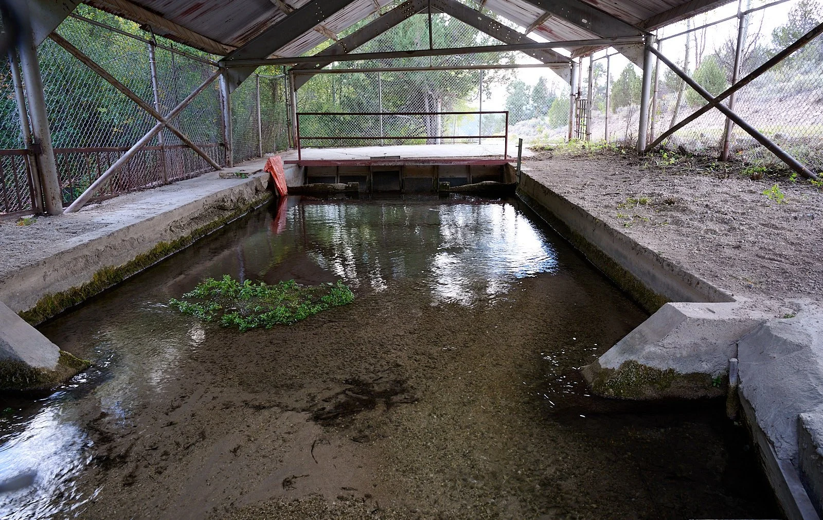Looking into the intake structure