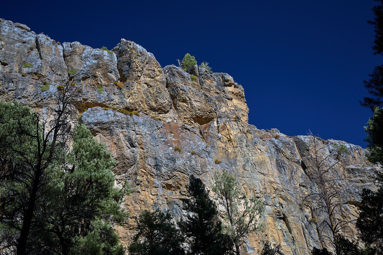Nevada39  GDW_1336.jpg