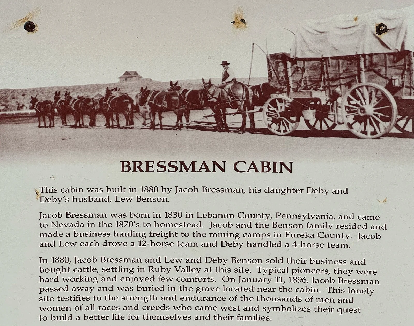 cabin  IMG_3676.jpg